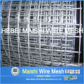 Electro Galvanized Welded Wire Mesh